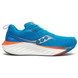 Saucony Triumph 22 (M)